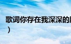 歌词你存在我深深的脑海里（我深深的脑海里）