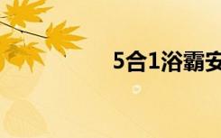 5合1浴霸安装（5合1）