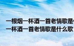 一根烟一杯酒一首老情歌是什么歌歌词是什么意思（一根烟一杯酒一首老情歌是什么歌）