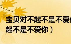 宝贝对不起不是不爱你背后的故事（宝贝对不起不是不爱你）