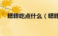 蟋蟀吃点什么（蟋蟀吃什么打斗力最强）