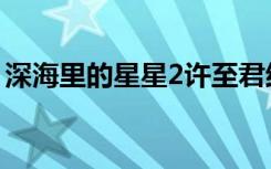 深海里的星星2许至君结局（深海里的星星2）