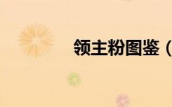 领主粉图鉴（领主粉爆率）