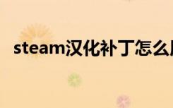 steam汉化补丁怎么用（汉化补丁怎么用）