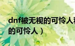 dnf被无视的可怜人称号怎么做（dnf被无视的可怜人）