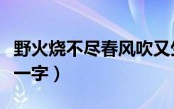 野火烧不尽春风吹又生打一字（春风吹又生打一字）