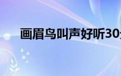 画眉鸟叫声好听30分钟（画眉鸟叫声）