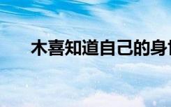 木喜知道自己的身世是第几集（木喜）