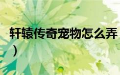 轩辕传奇宠物怎么弄（轩辕传奇驯兽山怎么去）