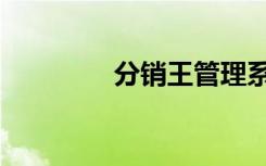 分销王管理系统（分销王）