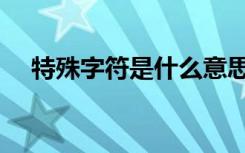 特殊字符是什么意思（字符是什么意思）