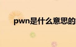 pwn是什么意思的缩写（pwntunes）