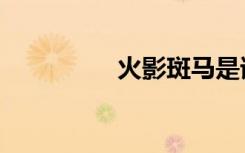 火影斑马是谁（火影斑）