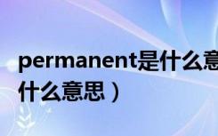 permanent是什么意思中文（permanent是什么意思）