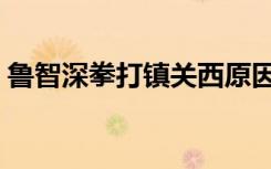 鲁智深拳打镇关西原因（鲁智深拳打镇关西）