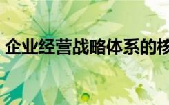 企业经营战略体系的核心是（企业经营战略）
