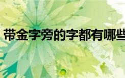 带金字旁的字都有哪些（带金字旁的字大全）
