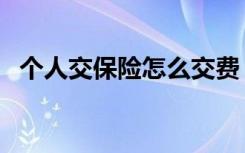 个人交保险怎么交费（个人怎么缴纳保险）