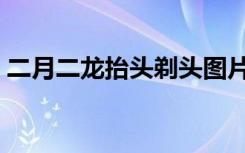 二月二龙抬头剃头图片（二月二龙抬头剃头）