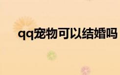 qq宠物可以结婚吗（qq宠物在哪结婚）