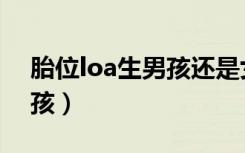 胎位loa生男孩还是女孩（胎位loa是男孩女孩）