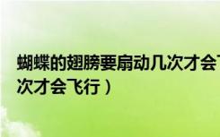 蝴蝶的翅膀要扇动几次才会飞行启示（蝴蝶的翅膀要扇动几次才会飞行）