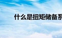 什么是扭矩储备系数（什么是扭矩）