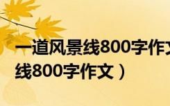 一道风景线800字作文写古代名人（一道风景线800字作文）