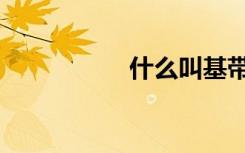 什么叫基带（保基带）