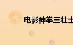 电影神拳三壮士（神拳三壮士）