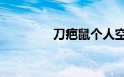 刀疤鼠个人空间（刀疤鼠）