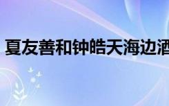 夏友善和钟皓天海边酒店（夏家三千金吻戏）