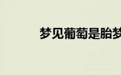 梦见葡萄是胎梦吗（梦见葡萄）