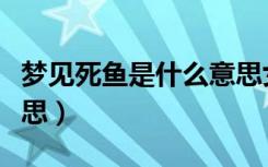 梦见死鱼是什么意思女性（梦见死鱼是什么意思）