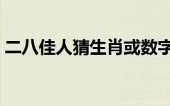 二八佳人猜生肖或数字（二八佳人猜一生肖）