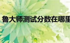 鲁大师测试分数在哪里看（鲁大师测试分数）