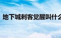 地下城刺客觉醒叫什么（dnf刺客觉醒任务）