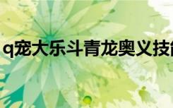 q宠大乐斗青龙奥义技能（q宠大乐斗小龙女）