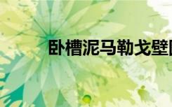 卧槽泥马勒戈壁图片（卧槽泥马）