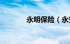 永明保险（永安保险怎么样）