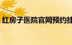 红房子医院官网预约挂号（红房子医院官网）
