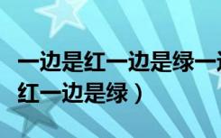 一边是红一边是绿一边喜风一边喜雨（一边是红一边是绿）