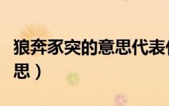 狼奔豕突的意思代表什么生肖（狼奔豕突的意思）
