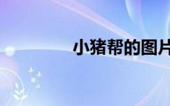 小猪帮的图片（小猪帮忙）