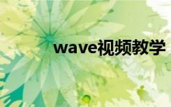 wave视频教学（wavecn教程）