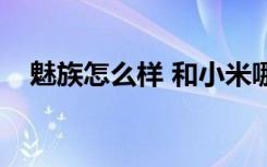 魅族怎么样 和小米哪个好（魅族怎么样）