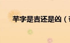 芊字是吉还是凶（带芊字的女孩名字）