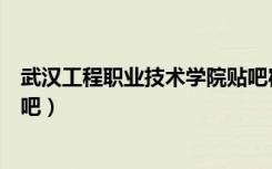 武汉工程职业技术学院贴吧宿舍（武汉工程职业技术学院贴吧）