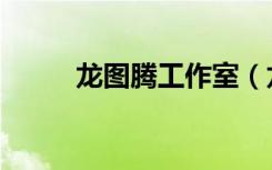龙图腾工作室（龙图腾金牌网吧）