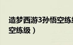 造梦西游3孙悟空练级攻略（造梦西游3孙悟空练级）